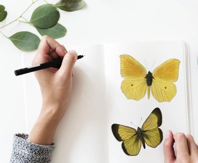 cours de dessin à Paris